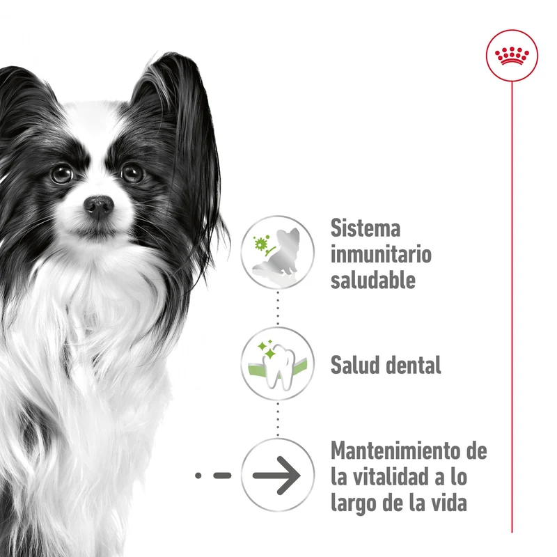Royal Canin X-Small Ageing 12+ Pienso para Perros Senior