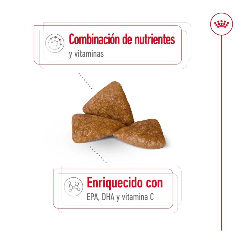 Royal Canin X-Small Ageing 12+ Pienso para Perros Senior