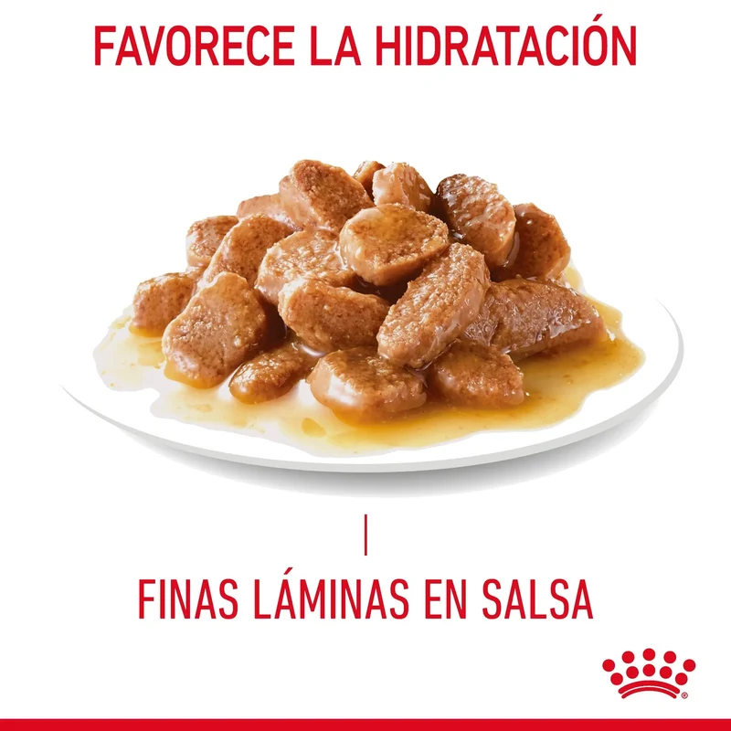 Royal Canin Light Weight Care Finas Láminas en Salsa 85 g Húmedo para Gatos