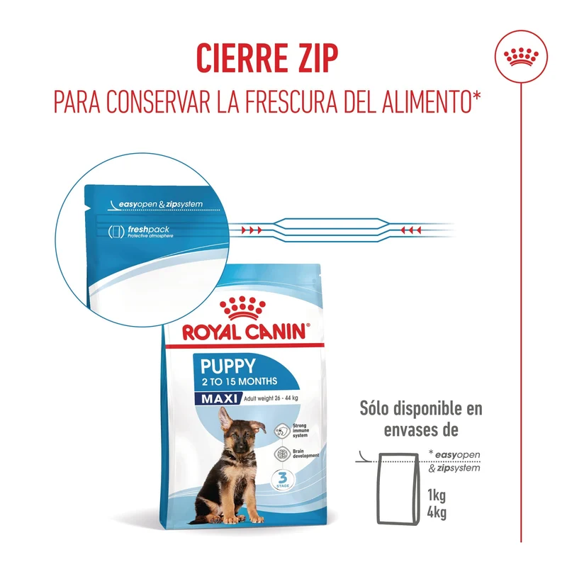 Royal Canin Maxi Puppy Pienso para Cachorros