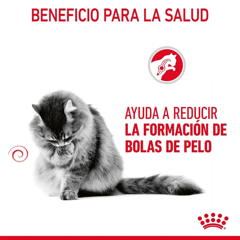 Royal Canin Hairball Care Pienso para Gatos Anti Bolas de Pelo