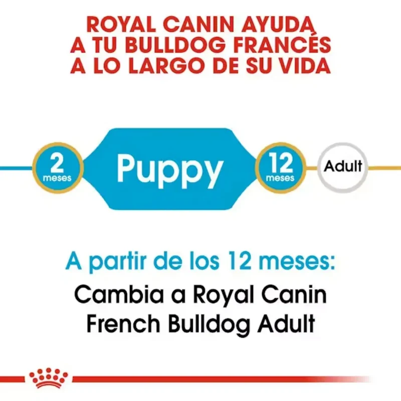 Royal Canin Bulldog Frances Puppy