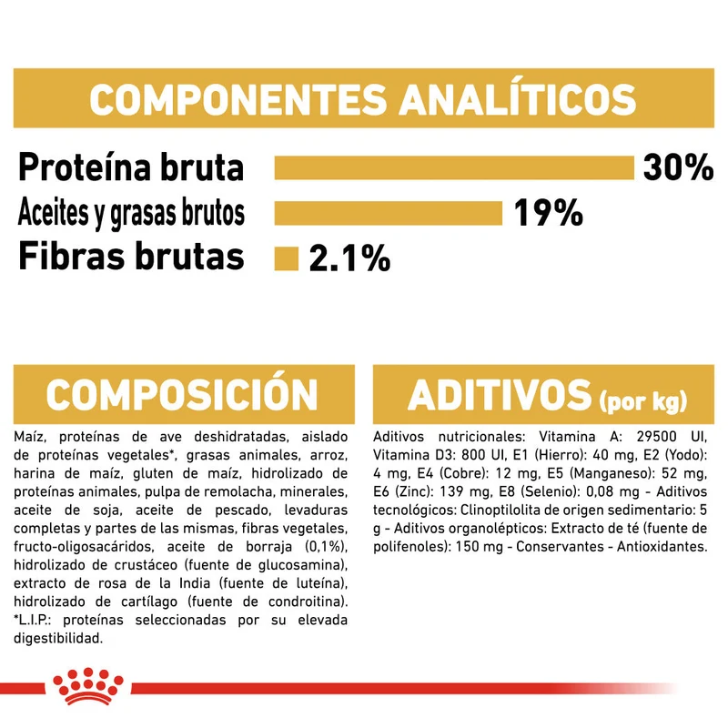 Royal Canin Caniche Poodle Pienso para Perros de Raza