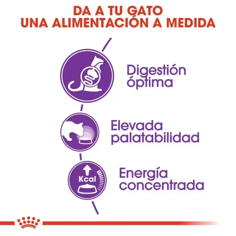 Royal Canin Sensible 33 10 kg Pienso para Gatos