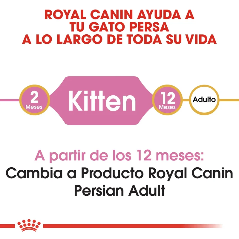Royal Canin Kitten Persian Pienso Seco para Gatitos Persas