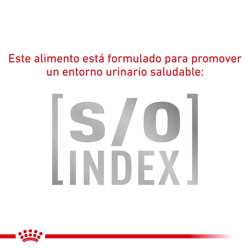 Royal Canin Veterinary Hypoallergenic Pienso para Gatos