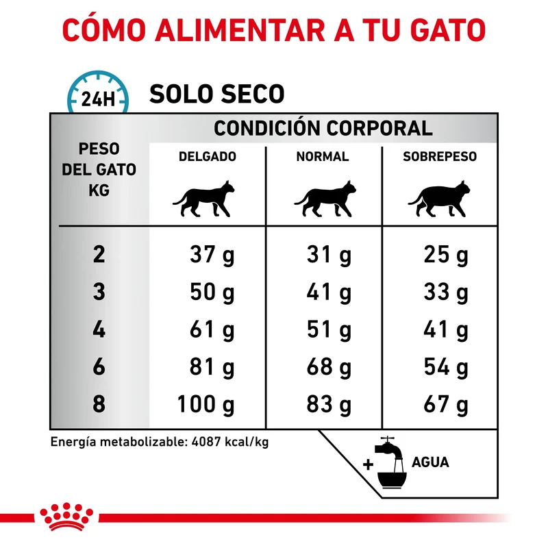 Royal Canin Veterinary Hypoallergenic Pienso para Gatos