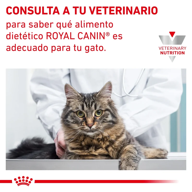Royal Canin Veterinary Hypoallergenic Pienso para Gatos