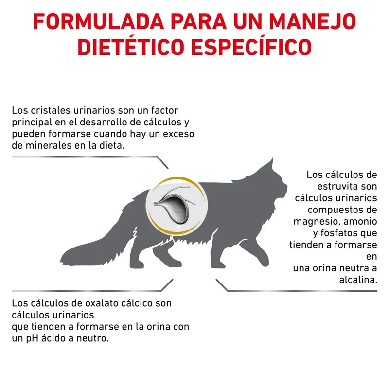 Royal Canin Veterinary Urinary S/O Pienso para Gatos