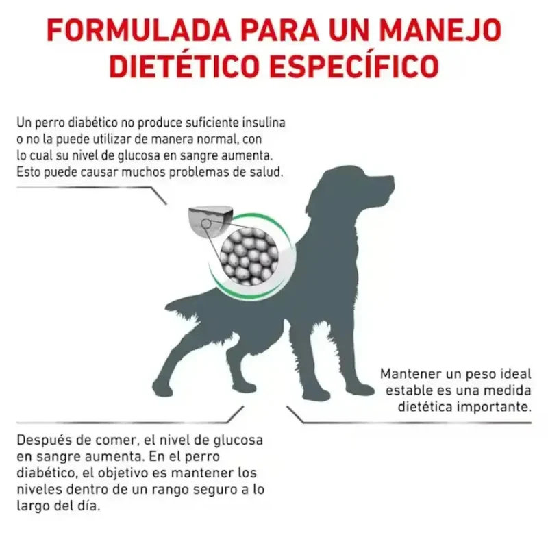 Royal Canin Veterinary Diabetic 1,5 kg Pienso para Perros Diabéticos