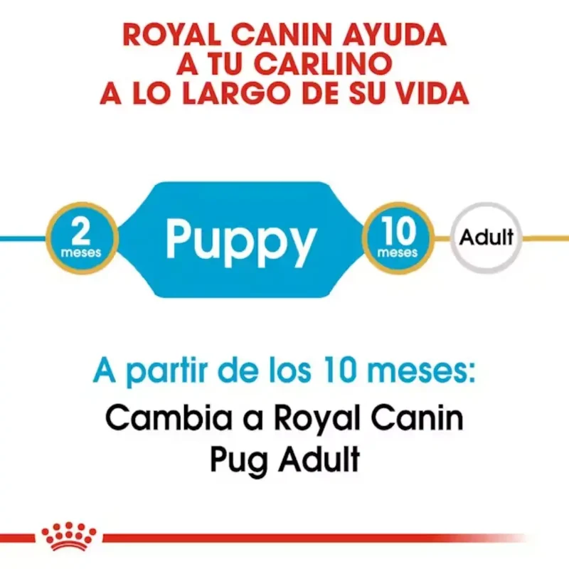 Royal Canin Carlino Pug Puppy 1,5 kg