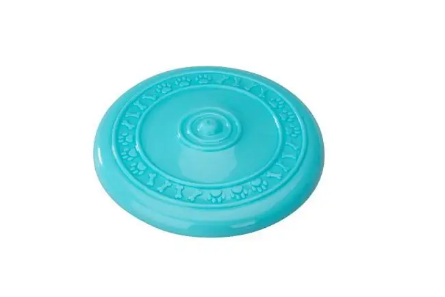 Disco Volador (Frisbee)