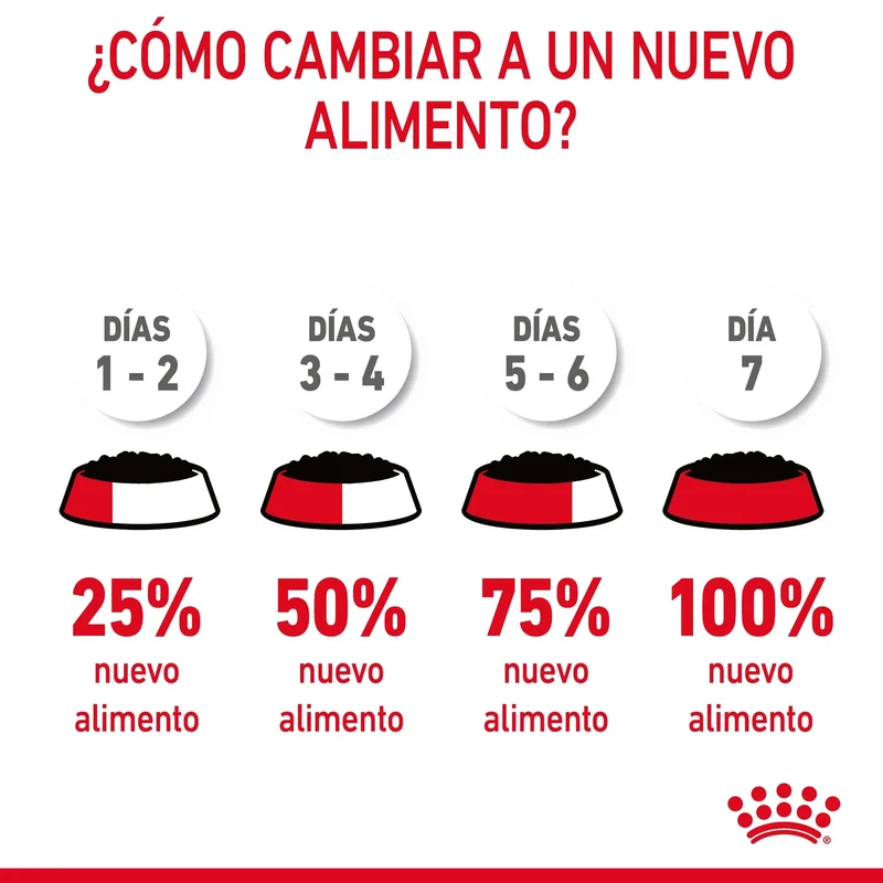 Royal Canin Hair & Skin Care Finas Láminas en Salsa 85 g Húmedo para Gatos