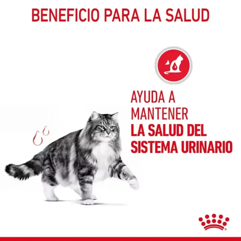 Royal Canin Urinary Care Pienso para Gatos