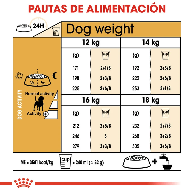 Royal Canin Beagle, Adulto