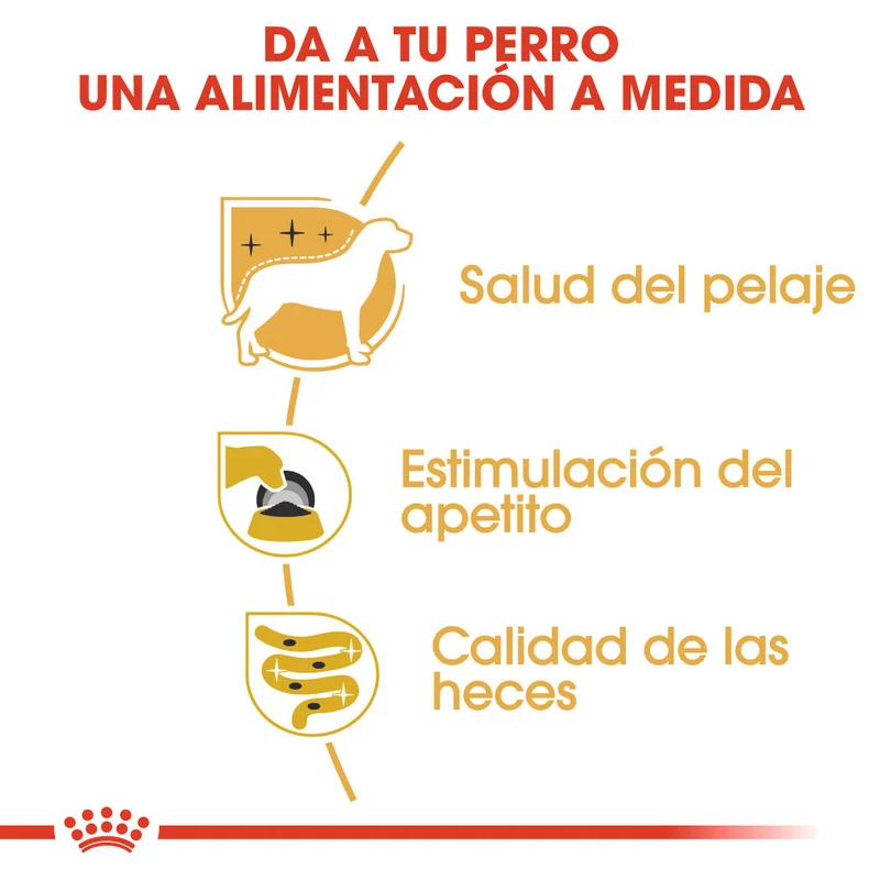 Royal Canin Yorkshire Paté Adulto 85 g Comida Húmeda para Perros