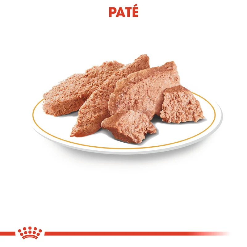 Royal Canin Chihuahua Paté Adulto 85 g Comida Húmeda para Perros