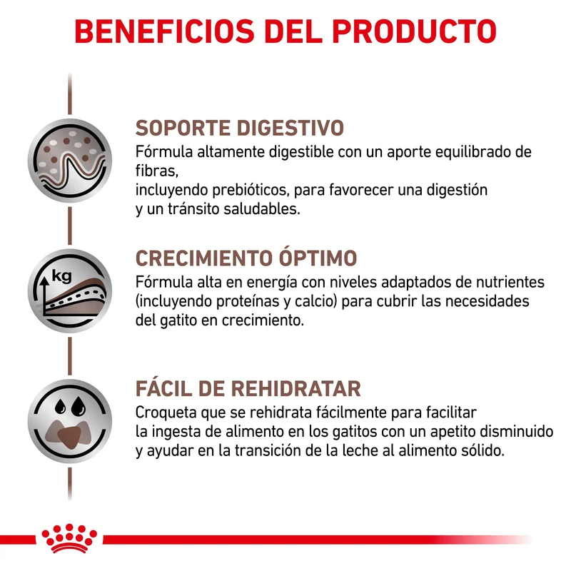 Royal Canin Veterinary Gastrointestinal Kitten Pienso Digestivo para Gatitos