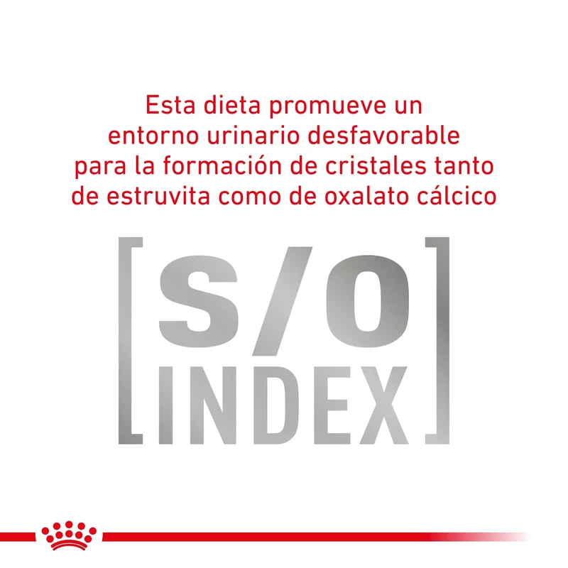 Royal Canin Veterinary Gastroinstestinal Moderate Calorie Pienso para Gatos