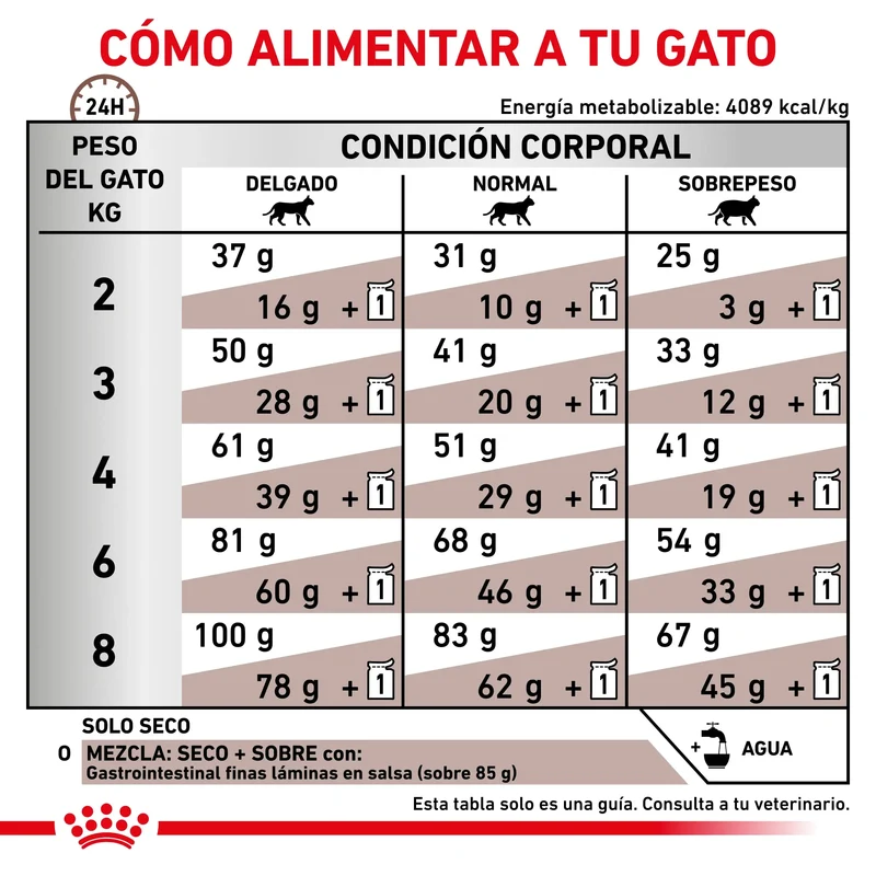 Royal Canin Veterinary Gastrointestinal Pienso para Gatos