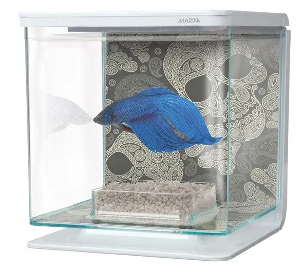Marina Betta Kit - Craneos