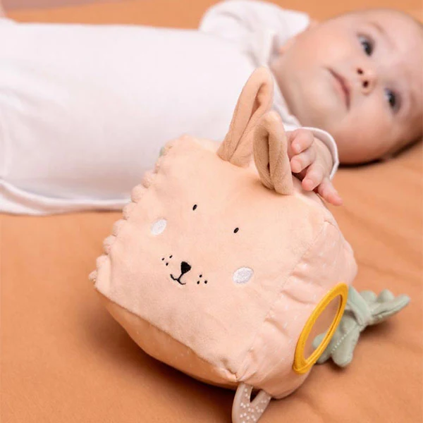 Cubo Actividad Conejo Trixie