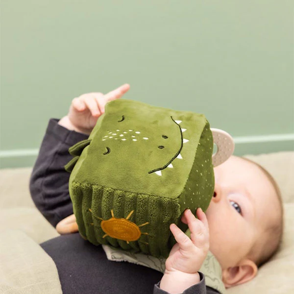 Cubo Actividad Dino Trixie