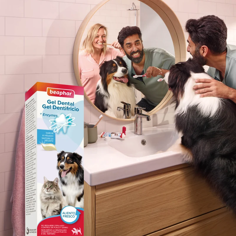 Beaphar Gel Dental para Perros y Gatos 100 g