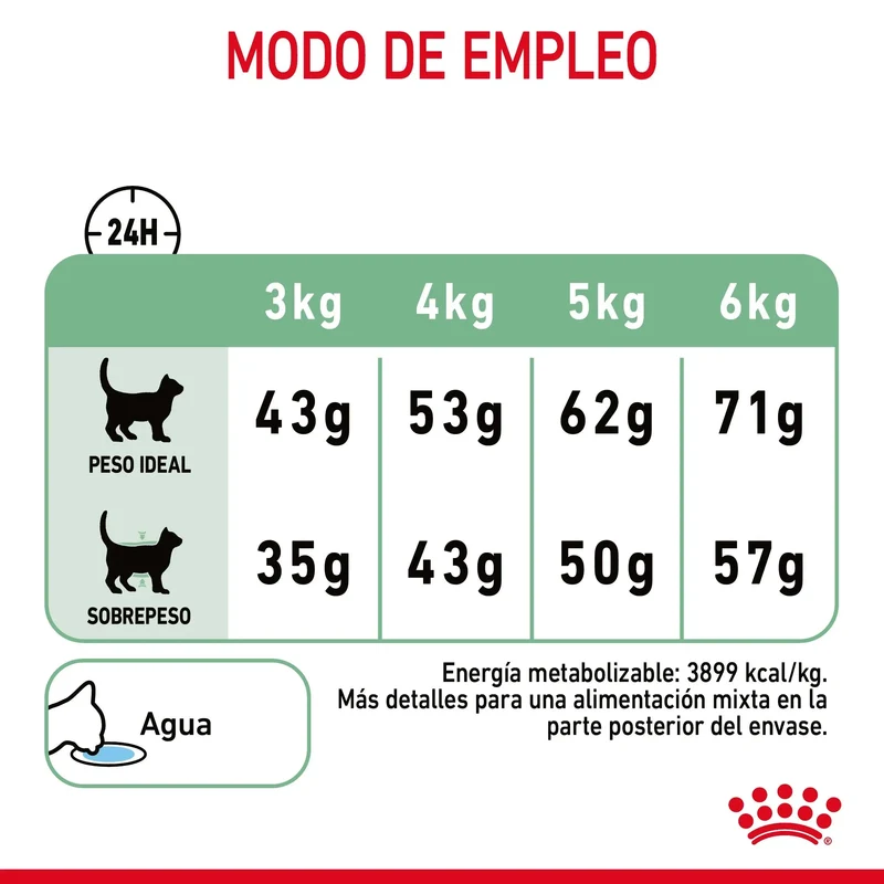 Royal Canin Digestive Care Pienso para Gatos