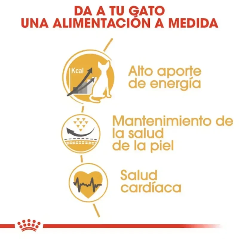 Royal Canin Sphynx Pienso para Gatos Esfinges Egipcios