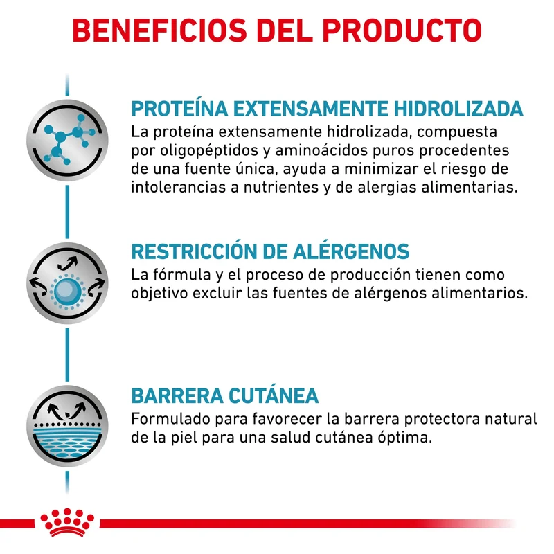 Royal Canin Veterinary Anallergenic | Pienso Veterinario para Gatos con Intolerancias y Alergias Alimentarias