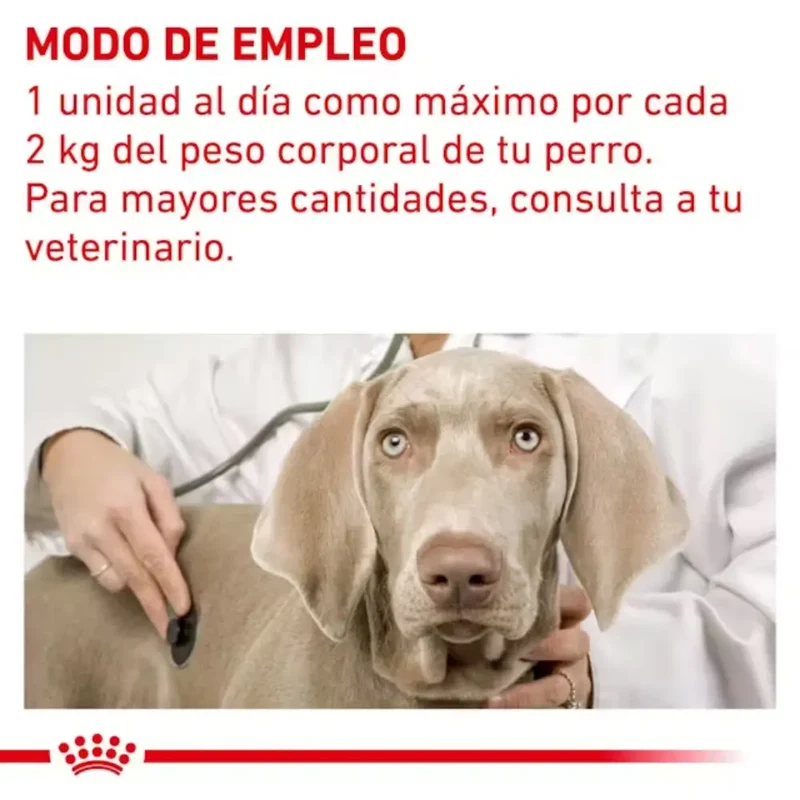 Royal Canin Pill Assist Small S Dog 90 g (Ayuda Para Pastillas)