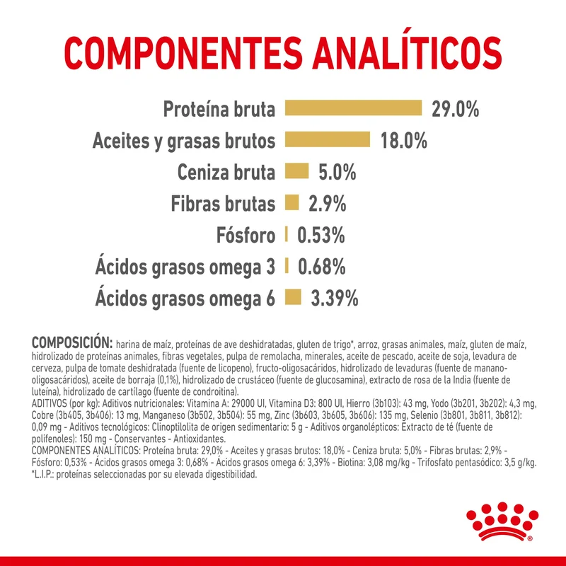 Royal Canin Yorkshire Terrier Ageing 8+ Pienso para Perros de Raza