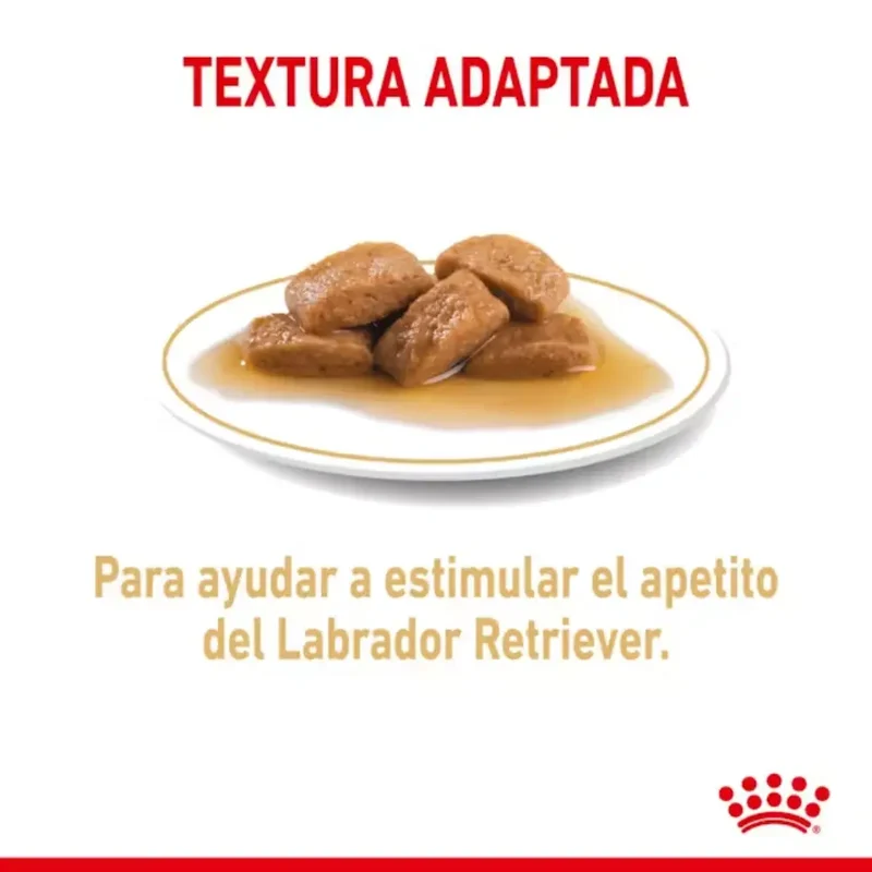 Royal Canin Labrador Paté Adulto 140 g Comida Húmeda para Perros