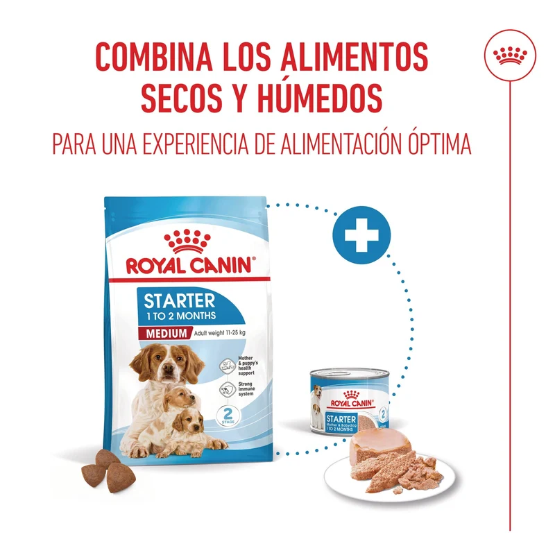 Royal Canin Medium Starter Mother & Babydog Pienso para Cachorros y Madres Lactantes