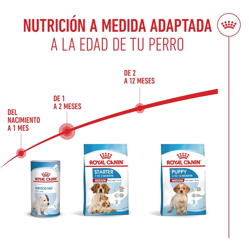 Royal Canin Medium Starter Mother & Babydog Pienso para Cachorros y Madres Lactantes