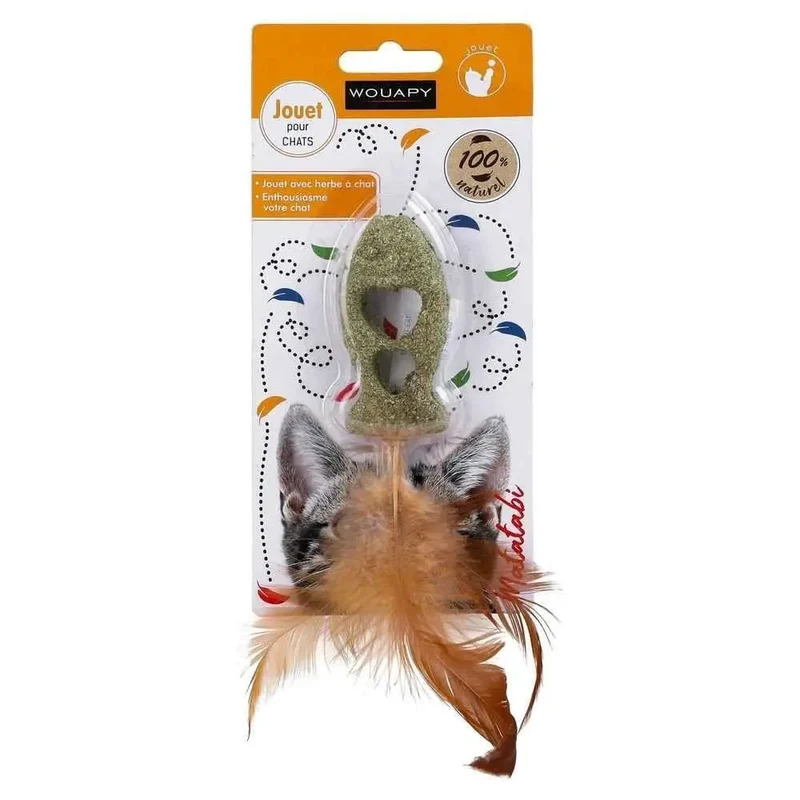 Pez Plumas con Catnip 12X3 cm
