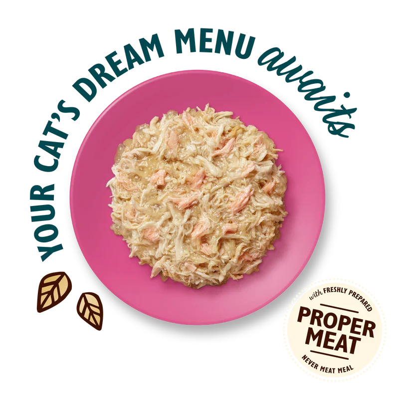 Lily's Kitchen Shredded Fillets In Jelly Chicken with Salmon Wet Cat Food 70G