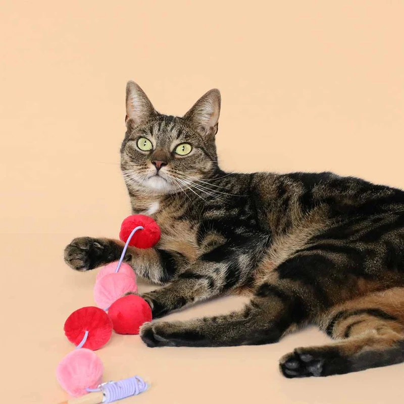 Ebi Coockoo Jolly Jumper Cat Wand Chase Toy - Red/Pink/40x4x4cm