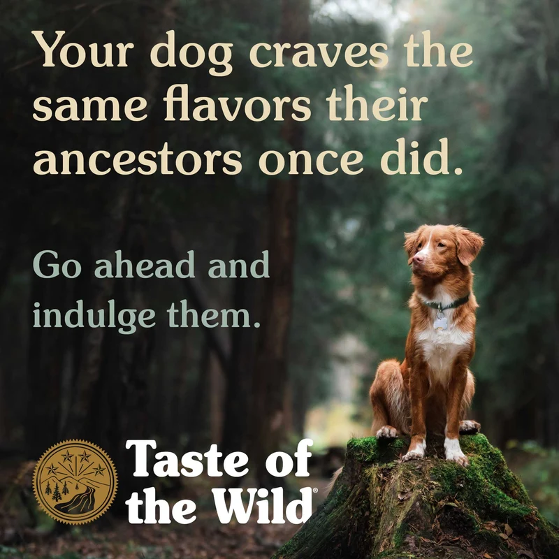 Taste of the Wild Sierra Mountain Canine in Gravy Wet Dog Food 390G - Pack of 12