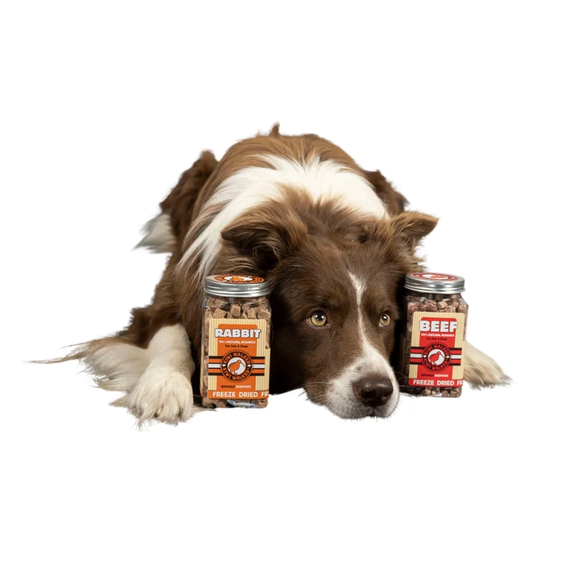 KIWI WALKER Freeze Dried Grain Free Snack Rabbit Cubes Dog & Cat Treats 75G - Pack of 3
