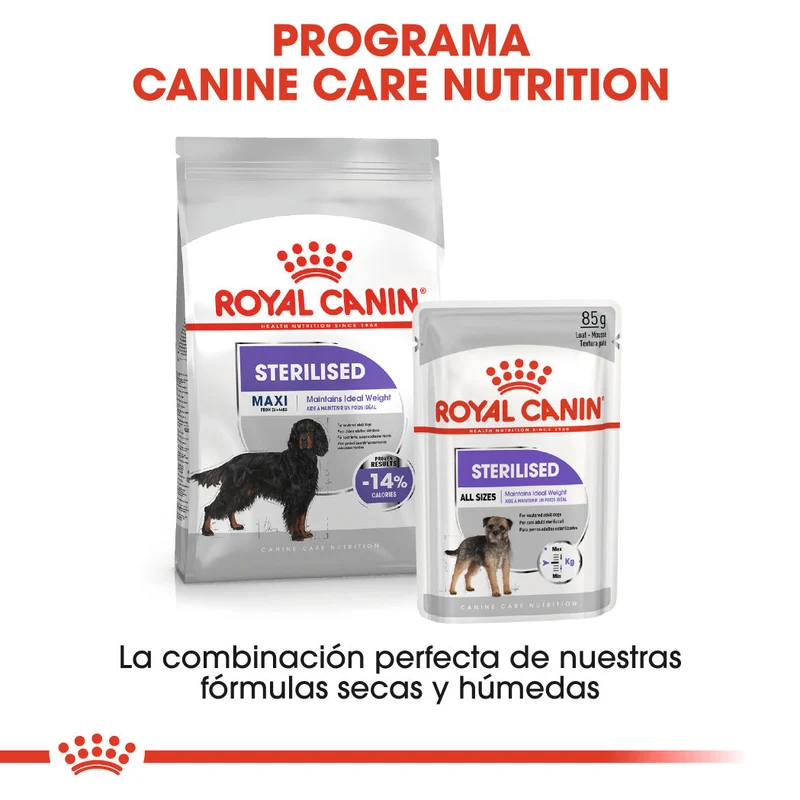 Royal Canin Maxi Sterilized Care Pienso para Perros Esterilizados