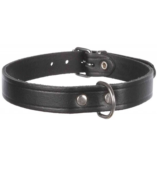 Trixie Basic Leather Collar for Dogs