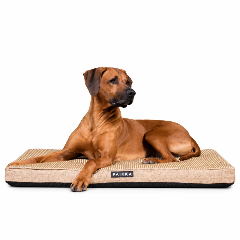 PAIKKA Cooling Orthopedic Dog Mattress With Memory Foam