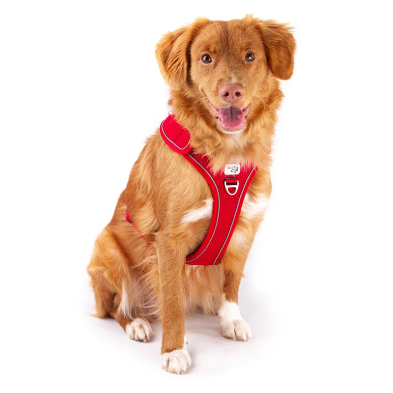 Curli Belka Large Dog Vest Harness - Adjustable Neck