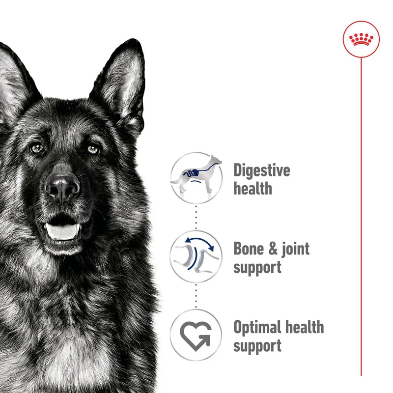 Royal Canin Maxi Adult In Loaf Wet Dog Food In Can 410G