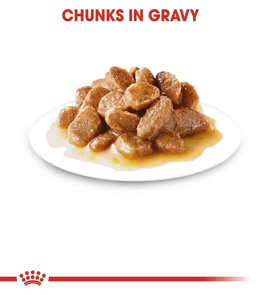 Royal Canin Mini Adult In Gravy-Salsa Wet Dog Food 85G - Pack of 12