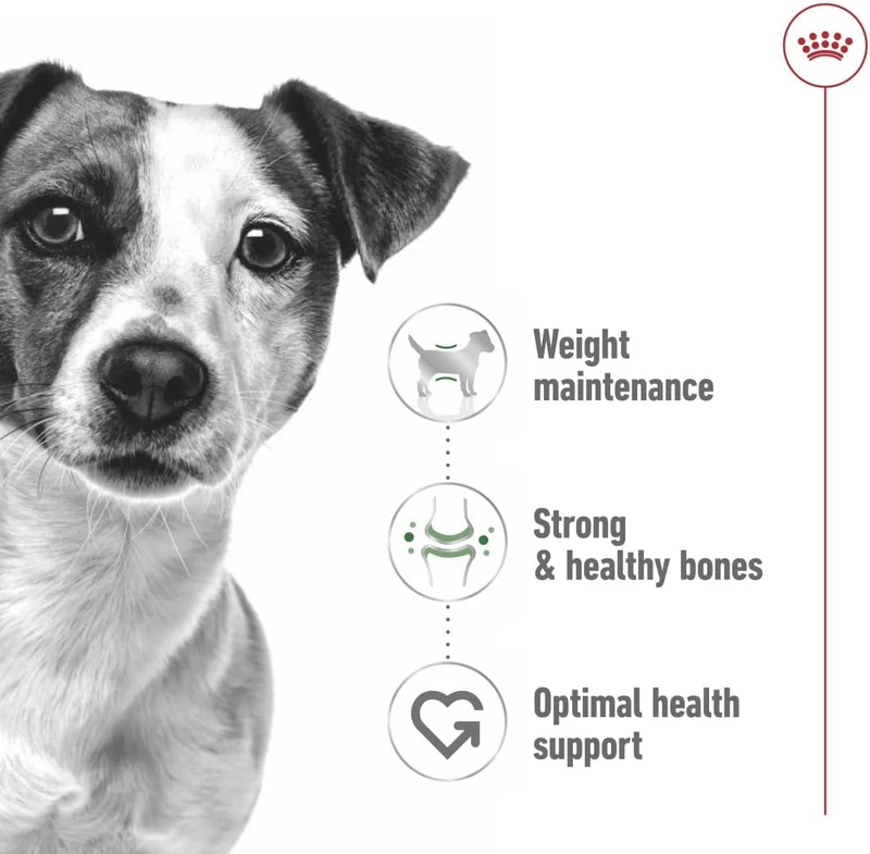 Royal Canin Mini Adult In Gravy-Salsa Wet Dog Food 85G - Pack of 12