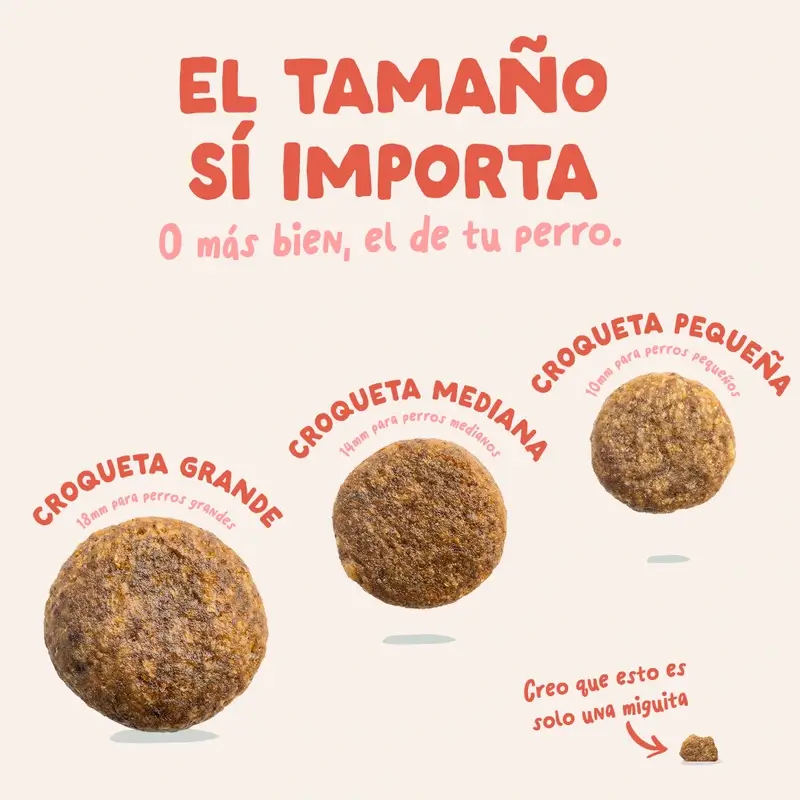 Edgard & Cooper Pienso Para Perros Senior Medianos Con Pollo Y Salmón Frescos , 7 kg