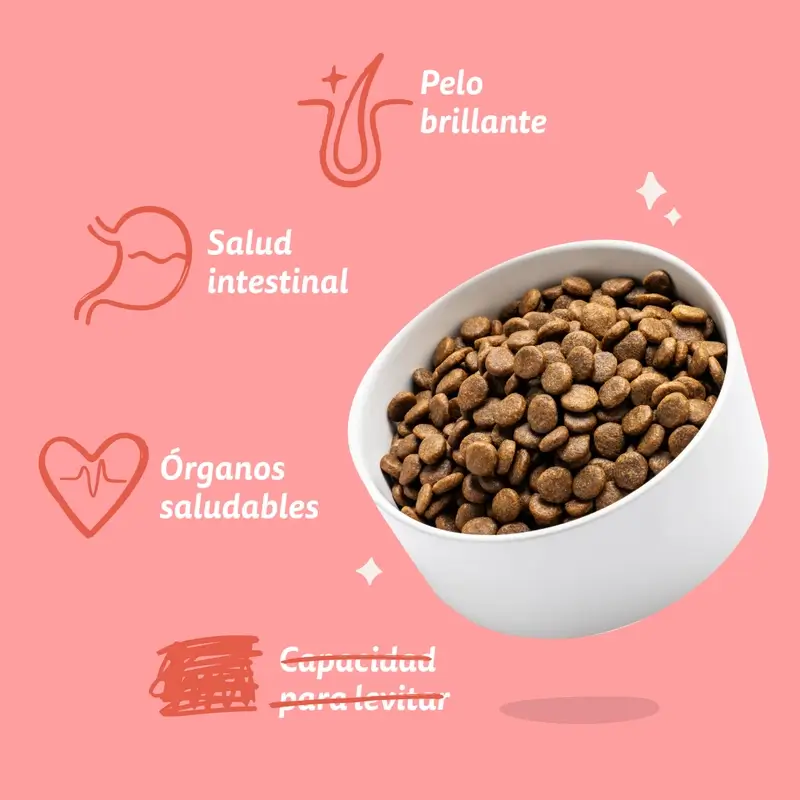 Edgard & Cooper Pienso Para Perros Senior Medianos Con Pollo Y Salmón Frescos , 7 kg